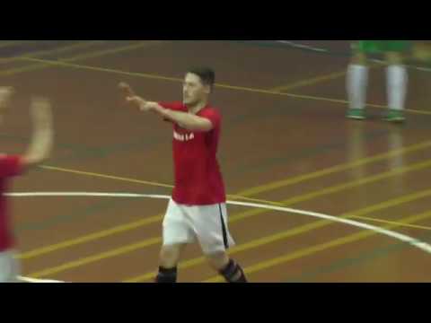 5  TeamInternational – Cykoria обзор