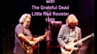 Mick Taylor with The Grateful Dead Little Red Rooster