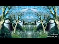 Hawkwind spiral galaxy fam made visuals