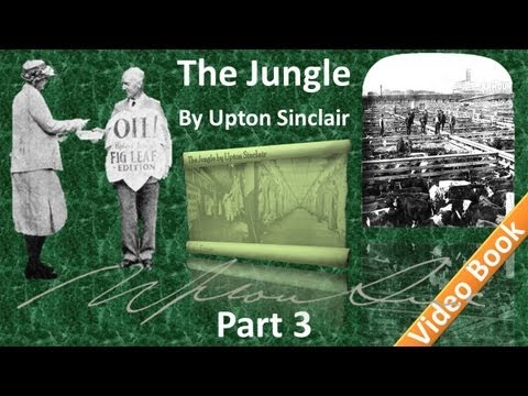Part 3 - The Jungle Audiobook by Upton Sinclair (Chs 08-12)