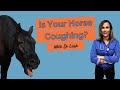 A Coughing Horse. Is it Inflammatory Airway Disease?