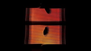 Simian Mobile Disco - Sun Dogs