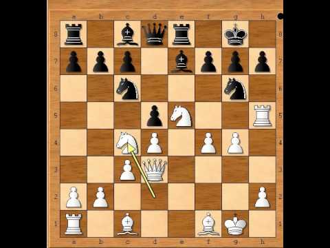 Fatalni potez - FOX vs BAUER - Spanska partija  # 695