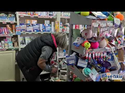 Video firme Veterinar Tim pet shop