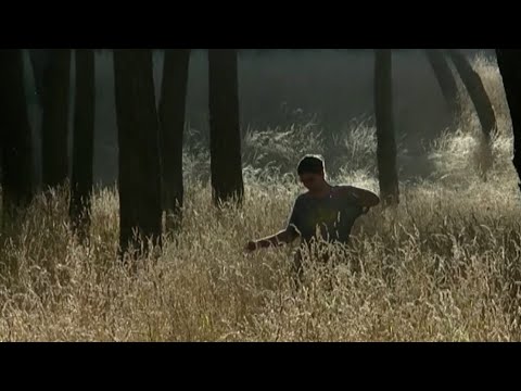 LITIO - Baila la Bahía (Videoclip Oficial)