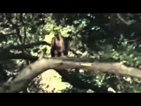 Messin' With Sasquatch - RC plane #1