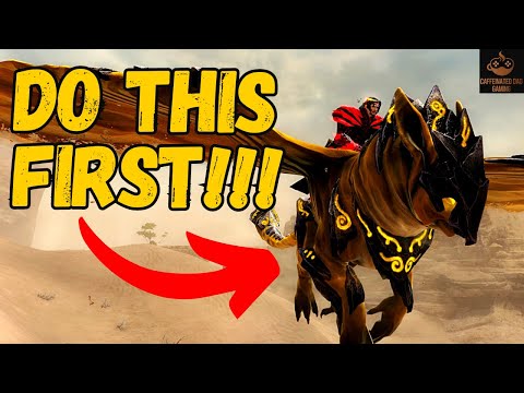 The FIRST 5 THINGS you should do at max level in Guild Wars 2!