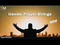 Itende PRAYER PREACHER BACKING STRINGS