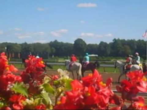 Samo Soviet - Good Times In USA Hourse Racing