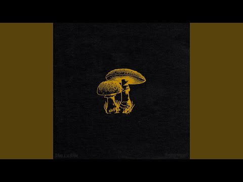 Coldplay Viva la Vida-v2 song