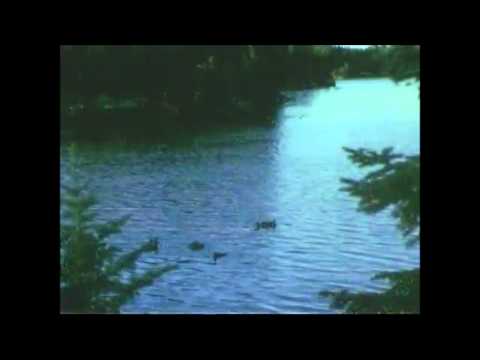 wun two - seasons (beattape)