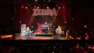 Zebra &quot;Lullaby&quot; (11/8/24 Charlotte, NC) 4K
