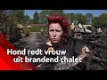 Hond redt vrouw uit brandend chalet op camping in Nieuw-Vossemeer: 'Ze hoorde de rookmelder niet'