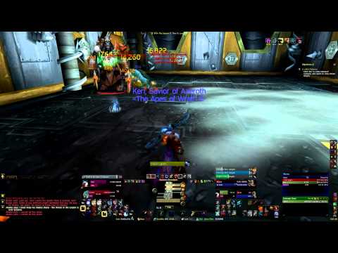 Brawler's Guild Progression with Cinnamohn - Rank 6