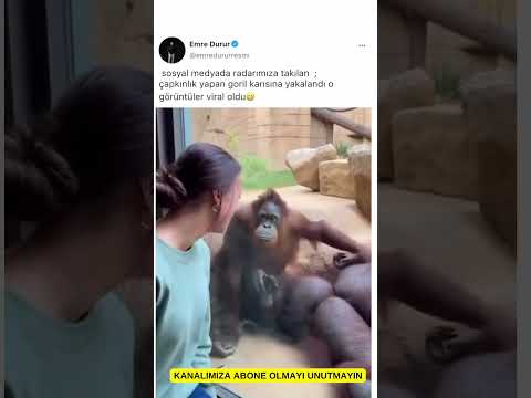 #viralreels #automobile #askerlikhaberleri #viralvideo #komedi #mrbeast #funny #memes #goril #komedi