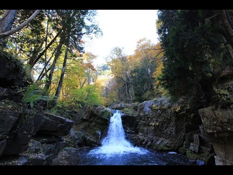 群馬県、みなかみ町、『照葉峡～秋』、秋、紅葉、絶景、利根川、もみじ