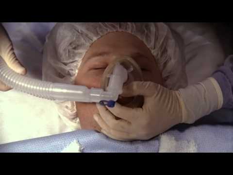 Chapter 3: How the Mind Thinks