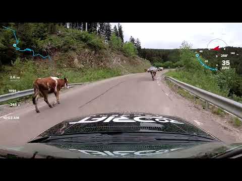 Raliul Bucovinei - PS Pojorata