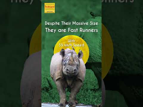 The Land of the One-Horned Rhino | Bodoland Tourism