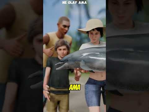 Yavru Yunusa Yaklaşan İnsanlar Büyük Hata Yaptı 😢