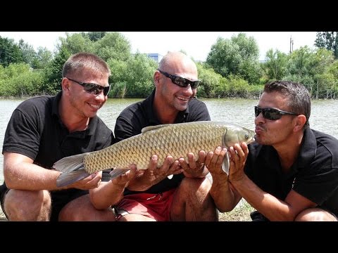 World Record Catch and SBS Team Secrets - Part 2