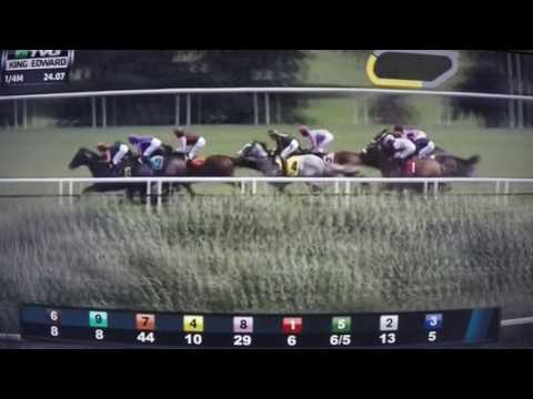 KING EDWARD STAKES (G2) $175,000 2017 - GO BRO !!!