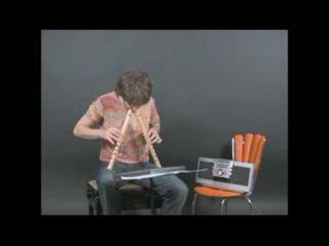 Stefan Temmingh plays 'Stainless Safari' by Helga Pogatschar