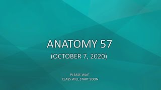 Anatomy 58 (October 7, 2020)