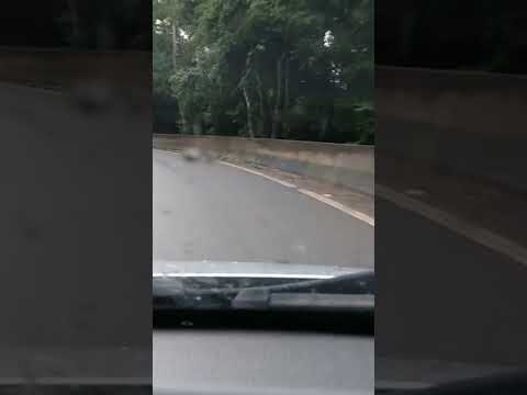 Rodovia entre Guapiara e Ribeirão Branco - SP