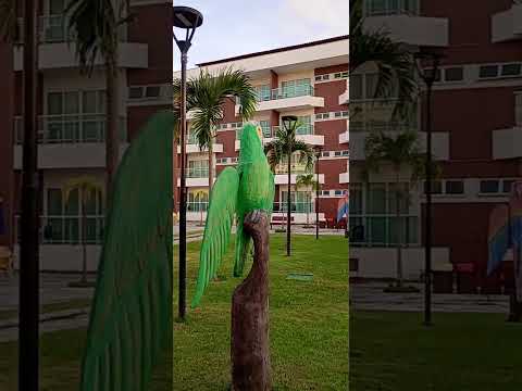 Sesc Guadalupe Sirinhaém Pernambuco