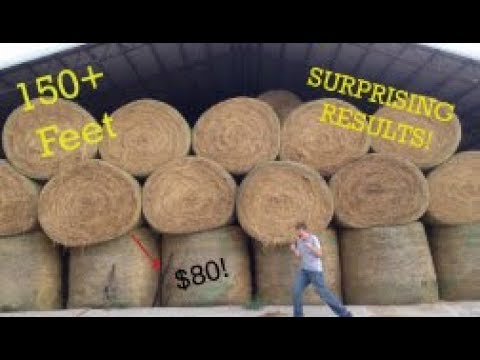 Shooting from the top of a Hay Barn! ASG Mcmillan M40A3 Sportline Range Test- Surprising Results!