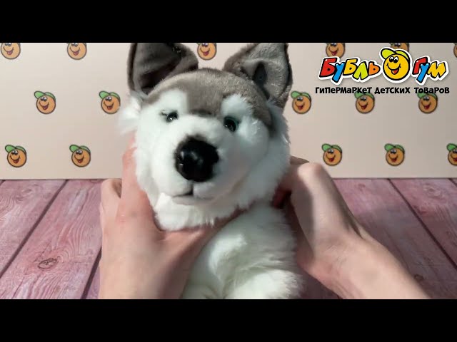 Игрушка мягкая Leosco Хаски 33см - видео