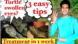How to treat turtle swollen eyes | 3 easy tips|Indian turtle aquarium | Indian aqua boy