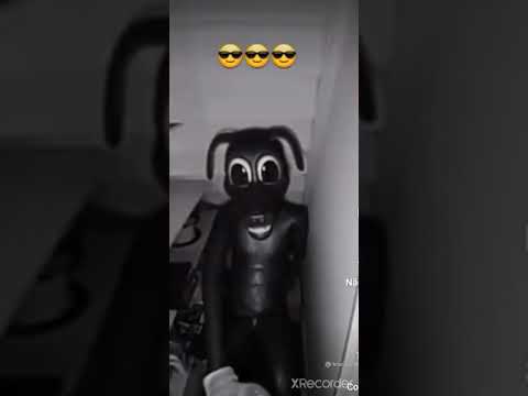 Cartoon cat - Cartoon dog - sirene Head