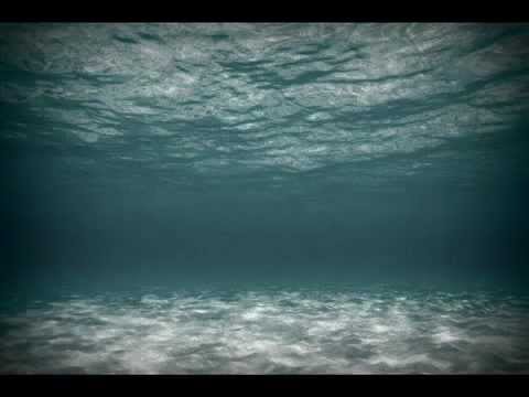 Power to progress  Darren Loveday, Stephen Loveday