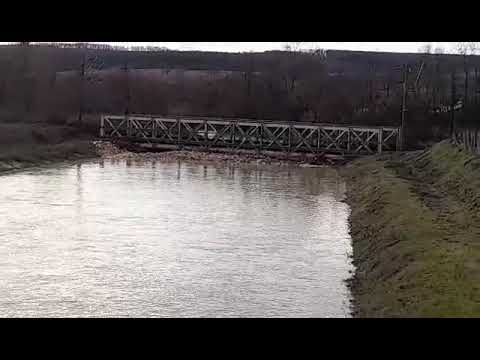 HUŞNIŢA la PRUNIŞOR !!!