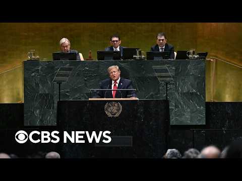 Foreign policy expert breaks down Trump's 
