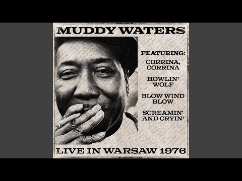 Floyd's Guitar Blues