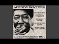 Floyd's Guitar Blues - Muddy Waters - Topic Floyd's Guitar Blues