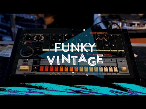 Funky Vintage: Roland TR-808 Rhythm Composer | Reverb Gear Demo