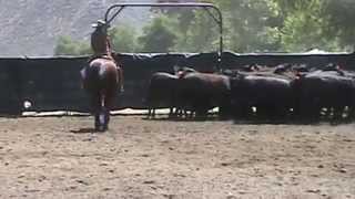 Kit & Me June 6, 2015