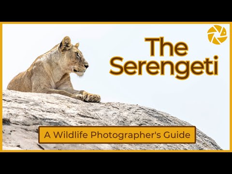 Serengeti - A Wildlife Photographer's Guide