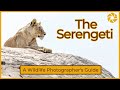 Serengeti A Wildlife Photographer S Guide