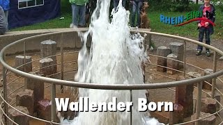 preview picture of video 'Wallender Born | Eifel | Ausflugsziel | Rhein-Eifel.TV'