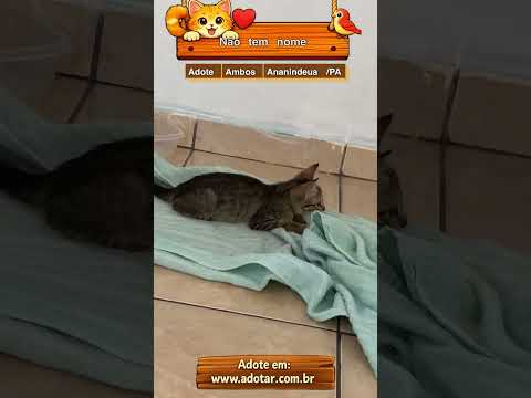 Vídeo de Não tem nome 