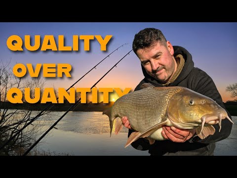 FLUSS TRENT | SPEZIELLES BARBENANGELN | GROSSE FISCHE | NEUE PBs | TAG 1 von 3