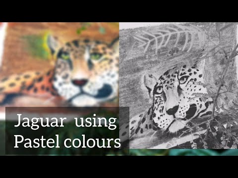 How to draw a jaguar | Animal art using pastel colours | jaguar pastel colour art | wild animal art