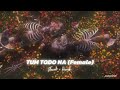 Tum Todo Na Dil Mera Slowed And Reverb Female