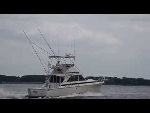 SOLD — Charity Boat Auction Feature: Bertram 35