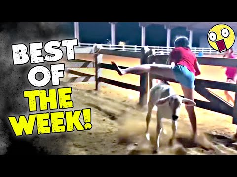 Funny & Hilarious People Life |😆 TRY NOT TO LAUGH #46 |😂😁😆Instant Regret Fails Compilation 2025